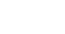 Custom Skis logo логотип